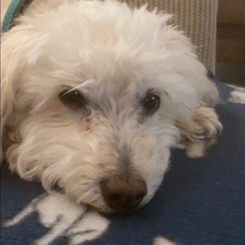 Meet your Posher, Andy